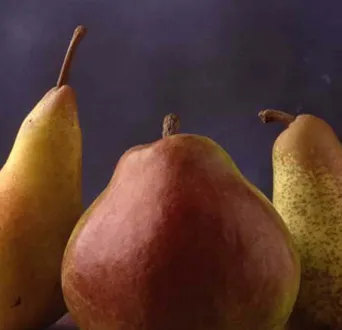 Pera dell'Emilia Romagna IGP