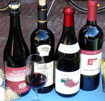 Vini del Bosco Eliceo DOC